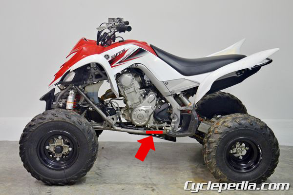 Raptor_700_0008vin.jpg