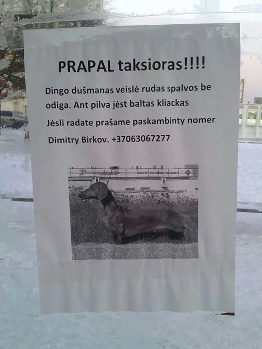 1459874_574751039278356_1359629105_n.jpeg